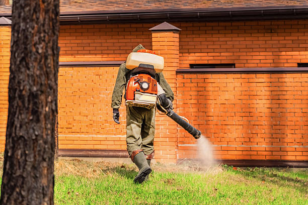 Bed Bug Clearance Verification and Documentation in Millers Falls